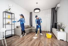 1 BHK furnished apartment cleaning